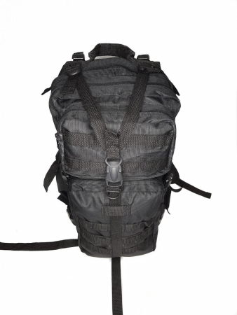 Рюкзак БЕРКУТ, черный - интернет магазин Полигон