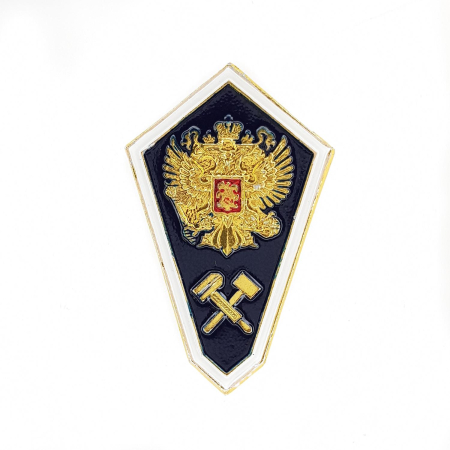 Значок "Гробик" Среднее техническое образование, золотой, синий, металл - интернет магазин Полигон